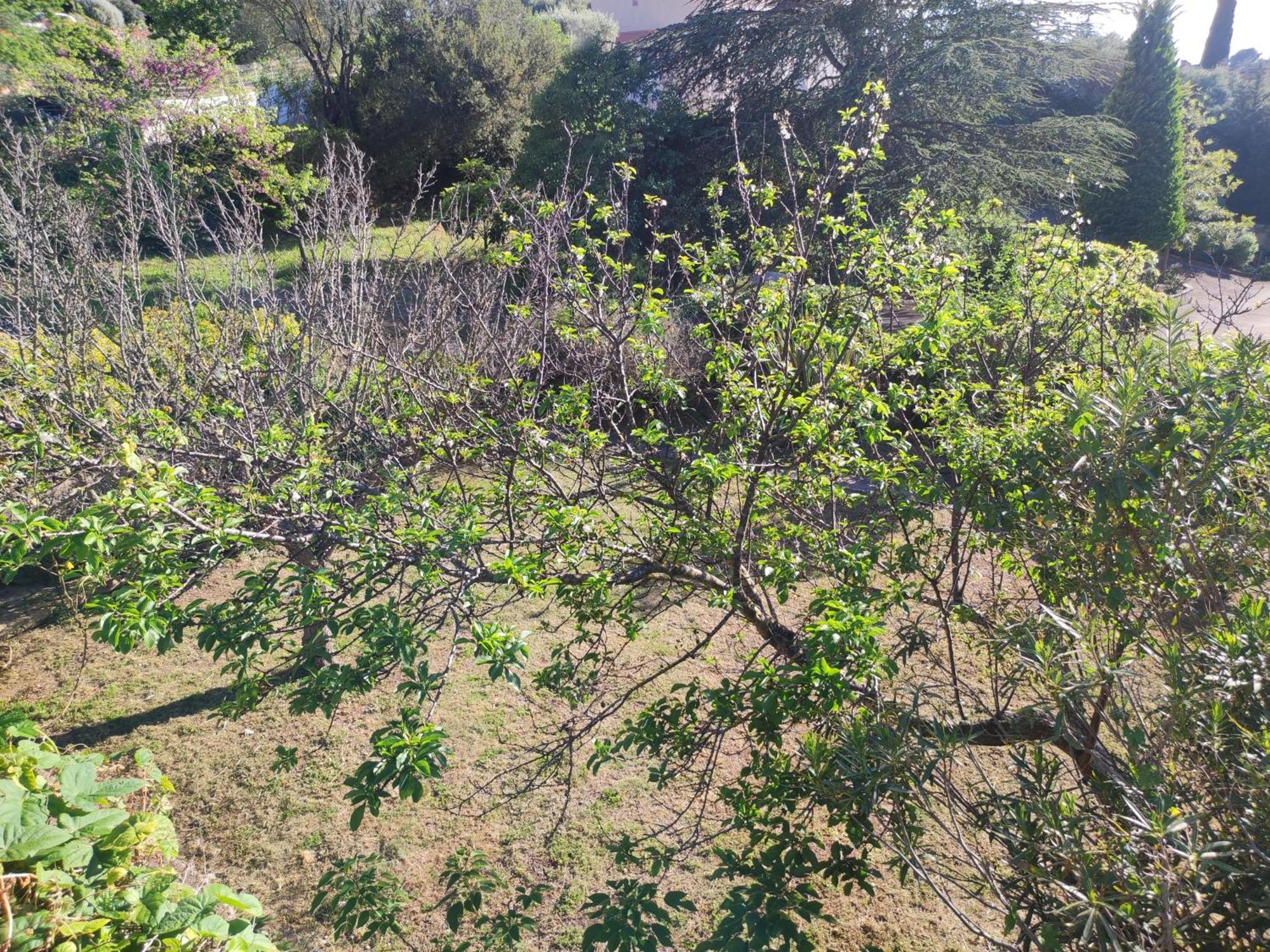 Bastide Provencale Vue Mer A 5 Min De La Plage サナリー・シュル・メール 部屋 写真
